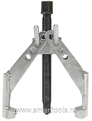 Extractor de role