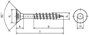 Holsurub cu cap inecat TORX (filetat partial)