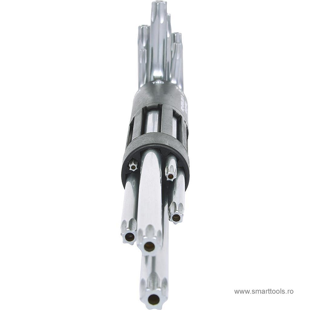 set-chei-imbus-torx-cu-gaura-extra-long