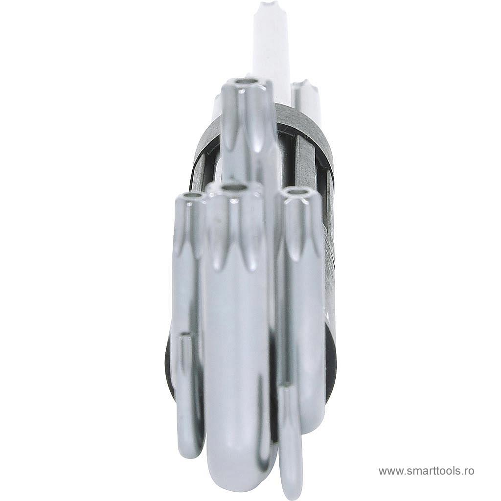 set-chei-imbus-torx-cu-gaura-extra-long