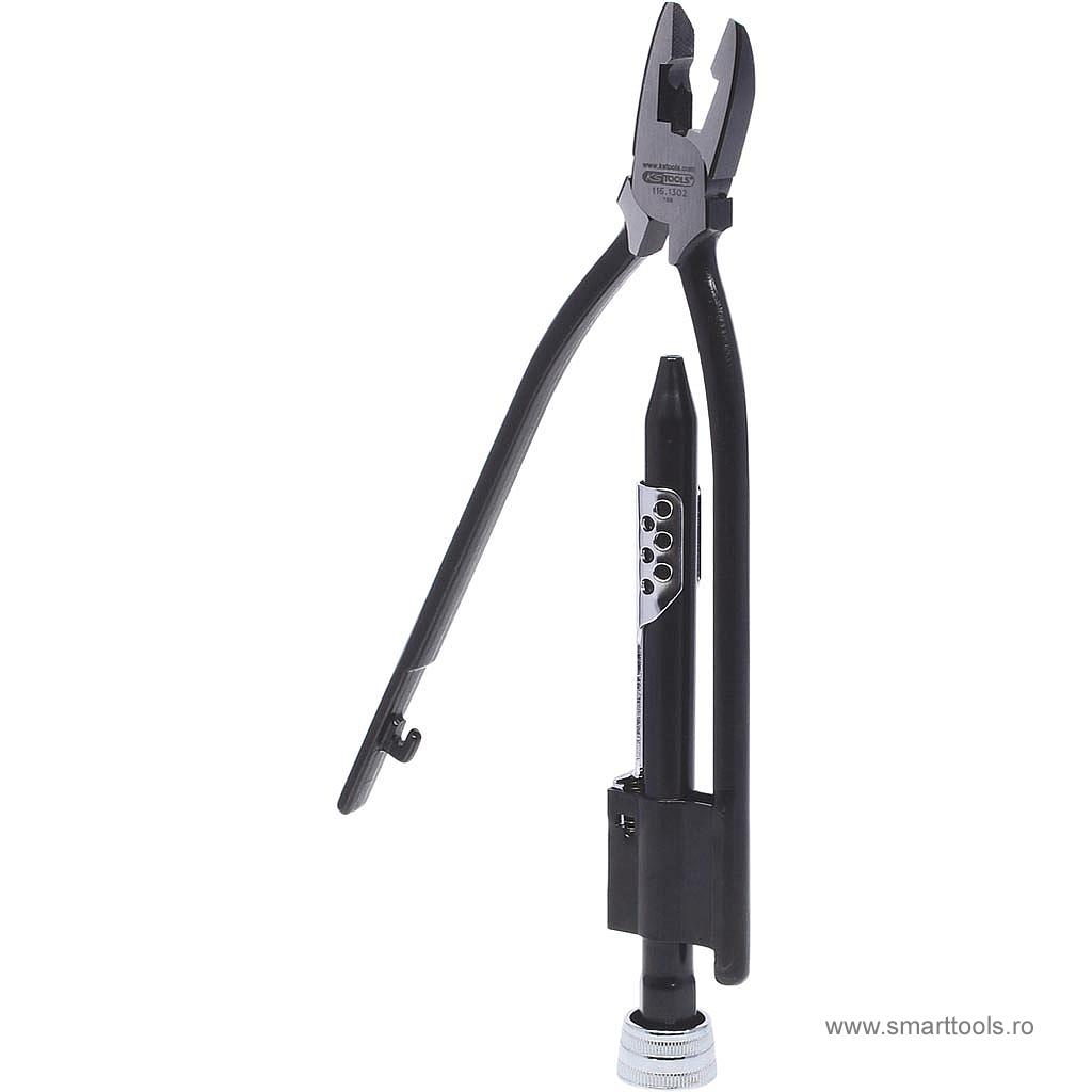 Cleste rasucit sarma