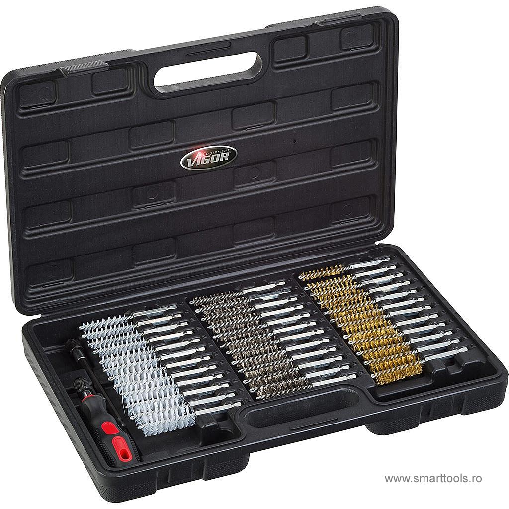 Set de perii pentru curățare profesionale