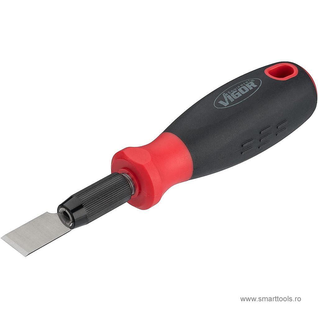 set-raclete-razuitor-16-piese-vigor