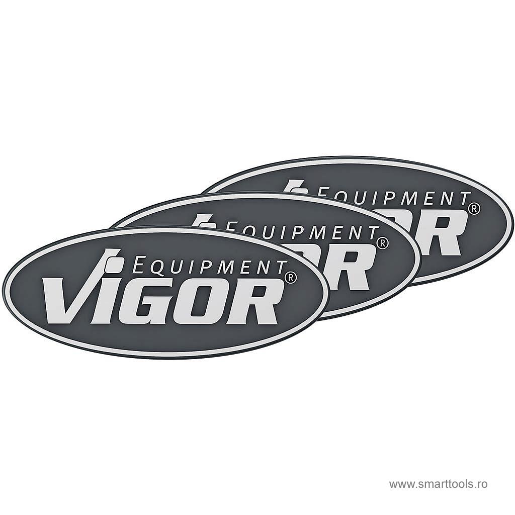 Set de butoane magnetice VIGOR, 3 piese