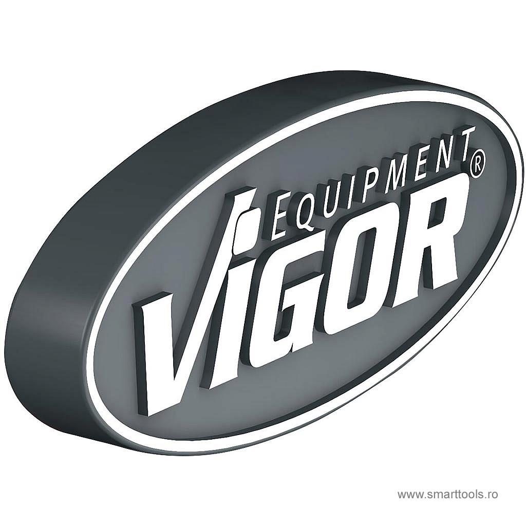 set-de-butoane-magnetice-vigor-3-piese