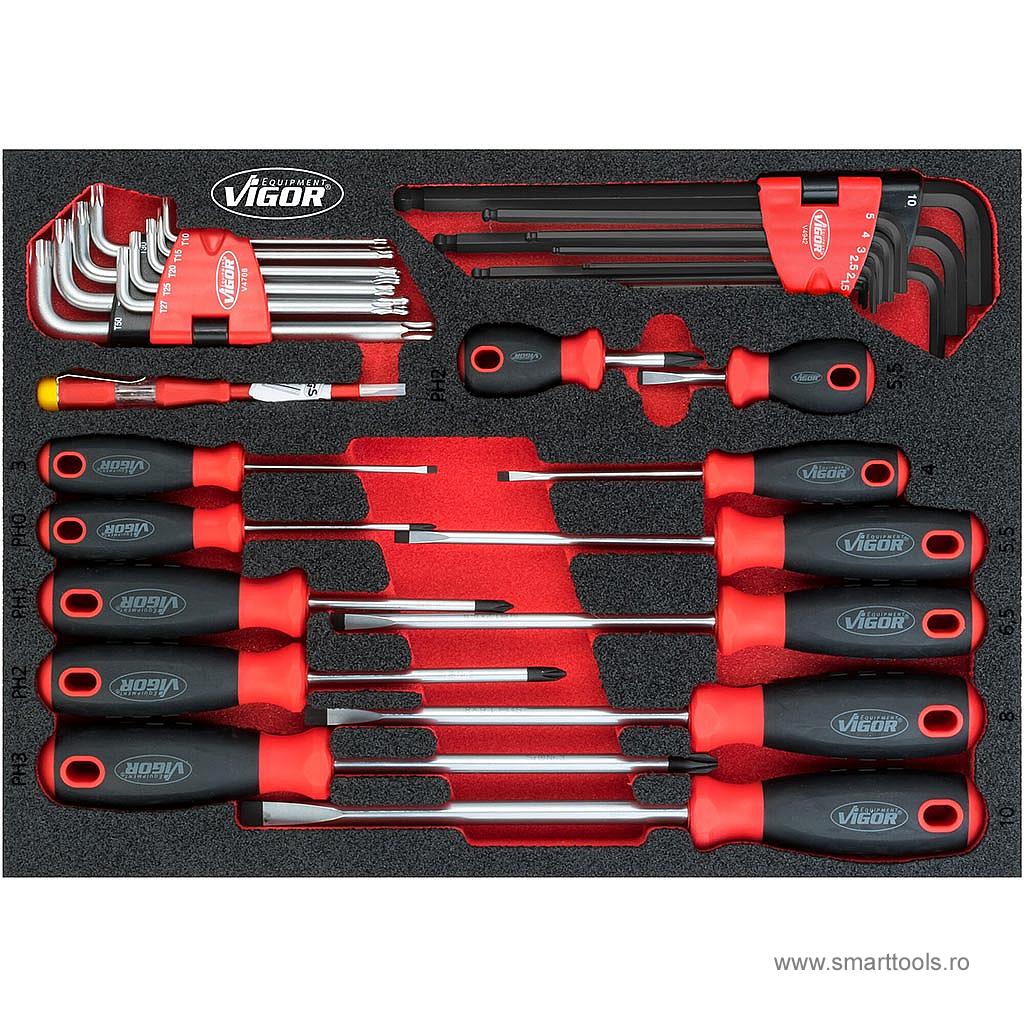 Set de surubelnite, 31 piese