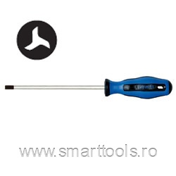 Surubelnita security