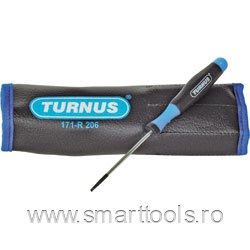 Set surubelnite de precizie, 6 piese